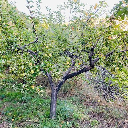 בית הארחה Laroles 	Barranco De La Salud חדר תמונה