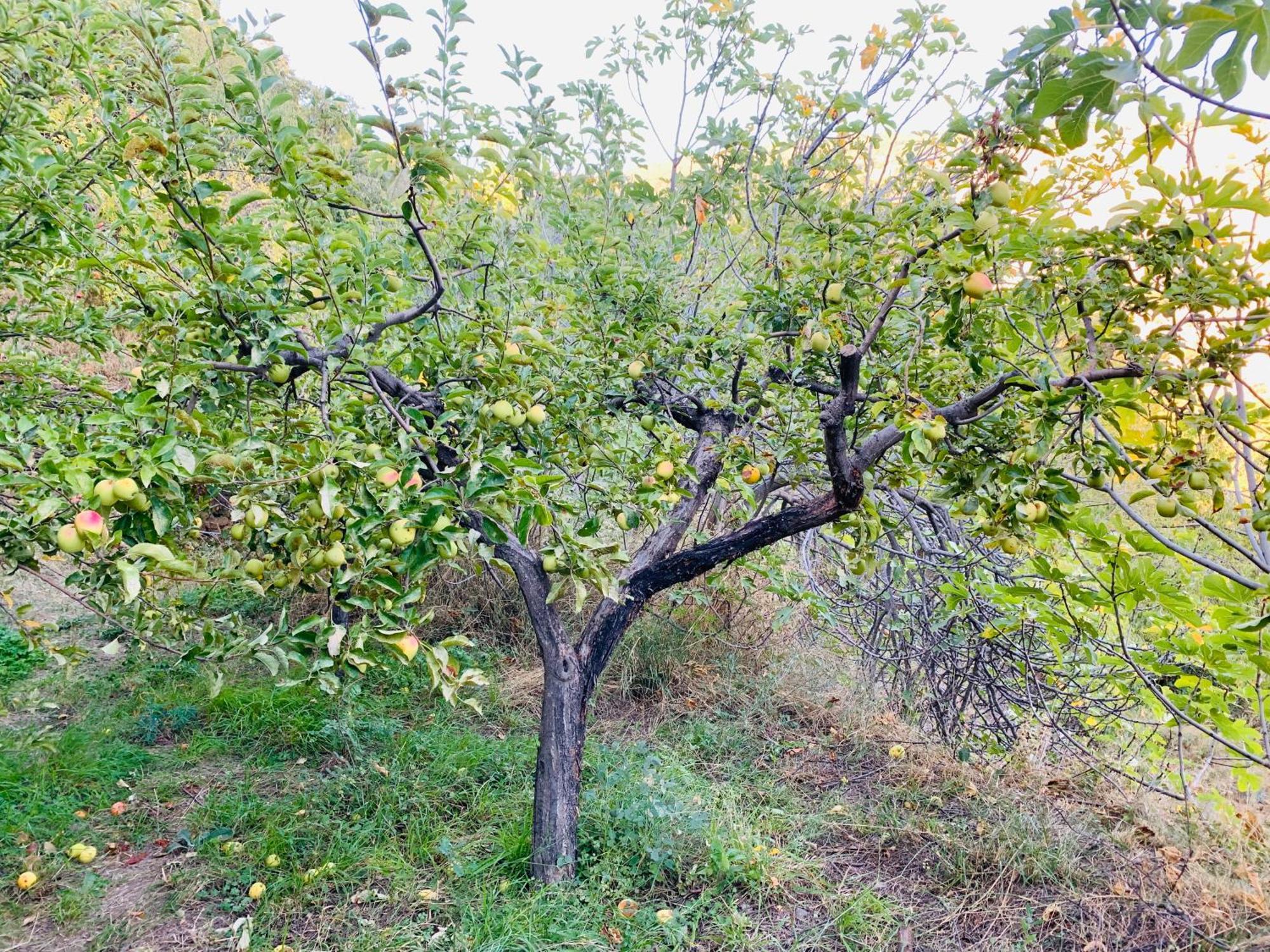 בית הארחה Laroles 	Barranco De La Salud חדר תמונה